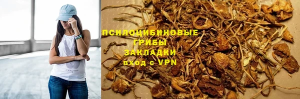 сатива Алзамай