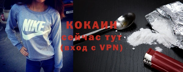 тгк Абаза