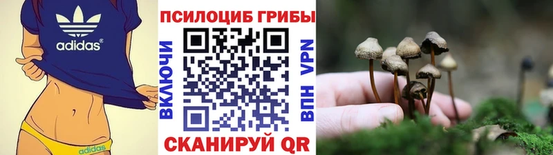 купить наркотик  Мещовск  Галлюциногенные грибы ЛСД 